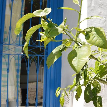 La Chambre Verte Bed & Breakfast Sidi Bou Ali Dış mekan fotoğraf