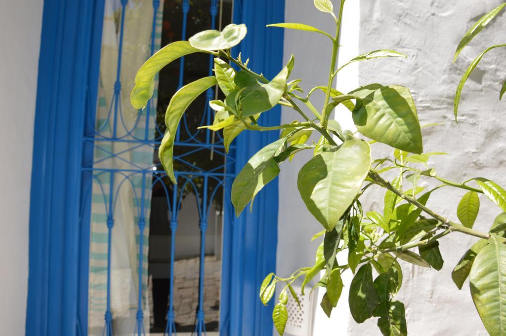 La Chambre Verte Bed & Breakfast Sidi Bou Ali Dış mekan fotoğraf